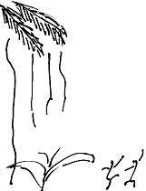 Иллюстрация к книге — Тропик лейтенанта. Пиратское рондо [i_173.jpg]