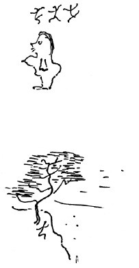 Иллюстрация к книге — Мангушев и молния [i_004.jpg]