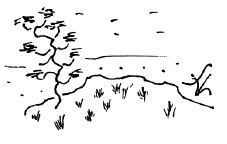 Иллюстрация к книге — Мангушев и молния [i_005.jpg]