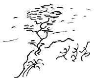 Иллюстрация к книге — Мангушев и молния [i_011.jpg]