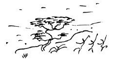 Иллюстрация к книге — Мангушев и молния [i_013.jpg]