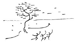 Иллюстрация к книге — Мангушев и молния [i_017.jpg]