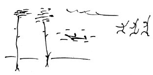 Иллюстрация к книге — Мангушев и молния [i_027.jpg]