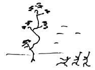 Иллюстрация к книге — Мангушев и молния [i_033.jpg]