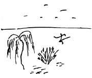 Иллюстрация к книге — Мангушев и молния [i_041.jpg]