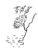 Иллюстрация к книге — Мангушев и молния [i_064.jpg]