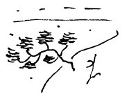 Иллюстрация к книге — Мангушев и молния [i_067.jpg]