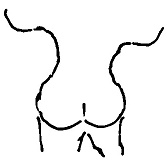 Иллюстрация к книге — Кот [i_036.jpg]