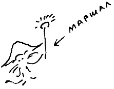 Иллюстрация к книге — Кот [i_105.jpg]