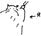 Иллюстрация к книге — Кот [i_168.jpg]