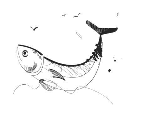 Иллюстрация к книге — Еще один год в Провансе [i_007.jpg]