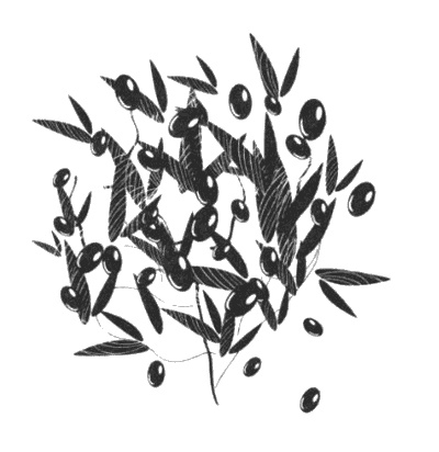 Иллюстрация к книге — Еще один год в Провансе [i_012.jpg]