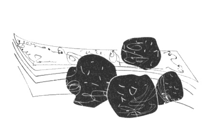 Иллюстрация к книге — Еще один год в Провансе [i_013.jpg]