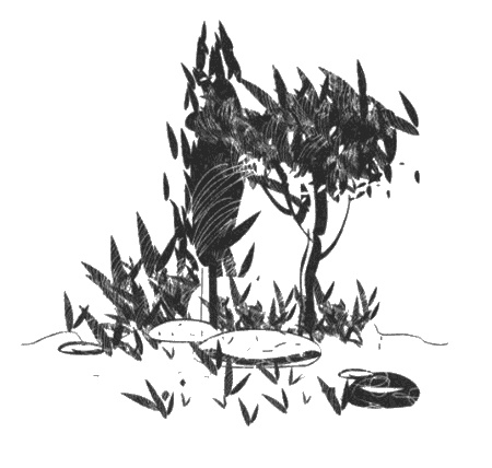 Иллюстрация к книге — Еще один год в Провансе [i_014.jpg]