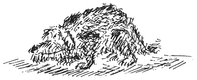 Иллюстрация к книге — Собачья жизнь [i_023.jpg]