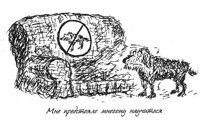 Иллюстрация к книге — Собачья жизнь [i_025.jpg]