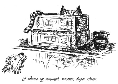 Иллюстрация к книге — Собачья жизнь [i_036.jpg]