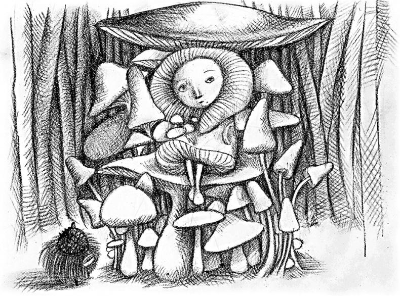 Иллюстрация к книге — Девочка, которая объехала волшебную страну на самодельном корабле [i_013.jpg]