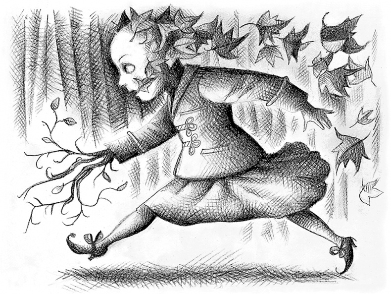 Иллюстрация к книге — Девочка, которая объехала волшебную страну на самодельном корабле [i_014.jpg]