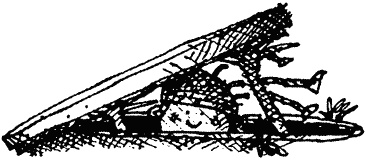 Иллюстрация к книге — Семейка монстров [_006.jpg]