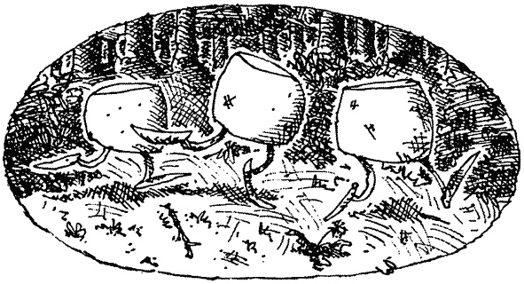 Иллюстрация к книге — Семейка монстров [_016.jpg]