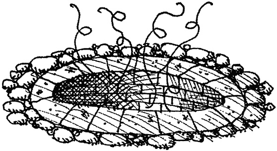 Иллюстрация к книге — Семейка монстров [_056.jpg]