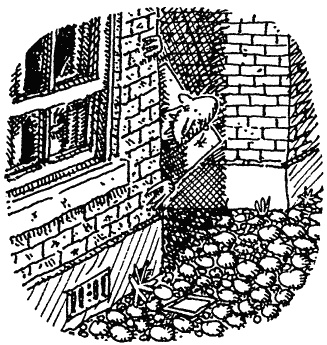 Иллюстрация к книге — Семейка монстров [_070.jpg]