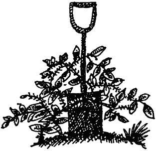 Иллюстрация к книге — Семейка монстров [_075.jpg]