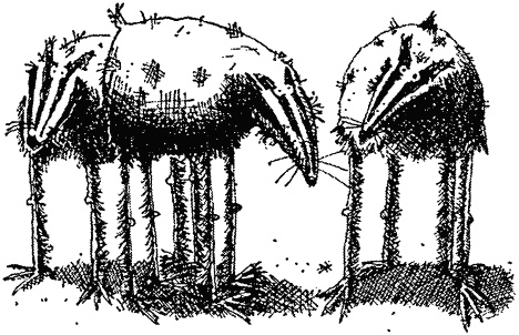 Иллюстрация к книге — Семейка монстров [_098.jpg]