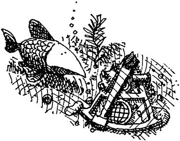 Иллюстрация к книге — Семейка монстров [_149.jpg]