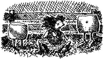 Иллюстрация к книге — Семейка монстров [_198.jpg]