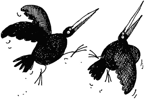 Иллюстрация к книге — Семейка монстров [_205.jpg]