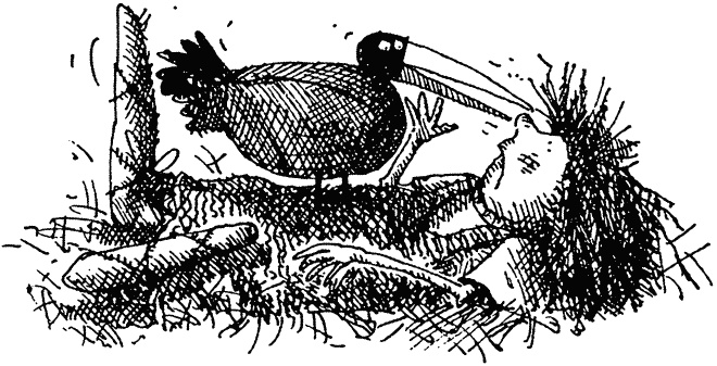 Иллюстрация к книге — Семейка монстров [_210.jpg]