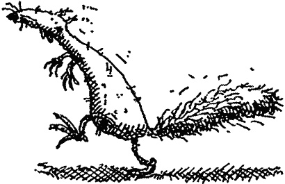 Иллюстрация к книге — Семейка монстров [_219.jpg]