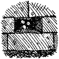 Иллюстрация к книге — Семейка монстров [_264.jpg]