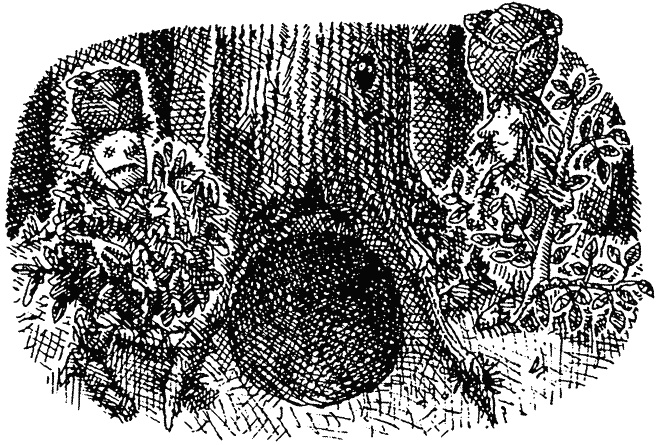 Иллюстрация к книге — Семейка монстров [_287.jpg]