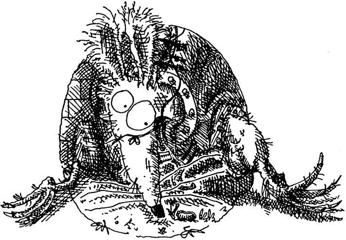 Иллюстрация к книге — Семейка монстров [_397.jpg]