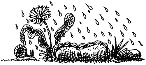 Иллюстрация к книге — Семейка монстров [_398.jpg]