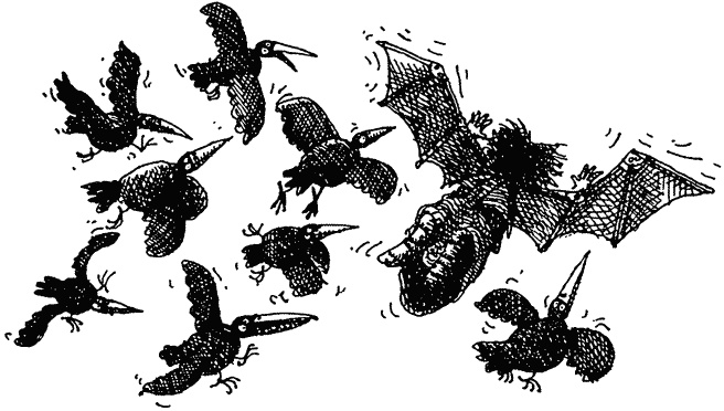 Иллюстрация к книге — Семейка монстров [_407.jpg]