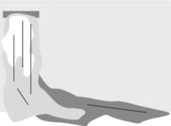 Иллюстрация к книге — Легенды московского метро [i_070.jpg]