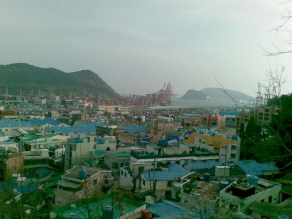 Иллюстрация к книге — Папская булла [i_001.jpg]