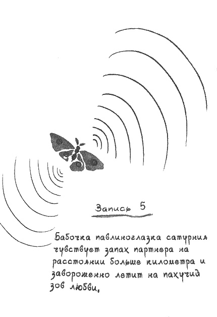 Иллюстрация к книге — Квантовая теория любви [i_028.jpg]