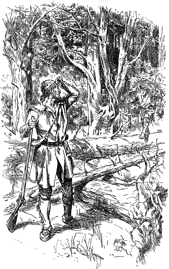 Иллюстрация к книге — Зверобой [i_001.jpg]