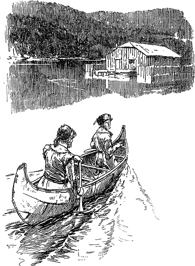 Иллюстрация к книге — Зверобой [i_003.jpg]