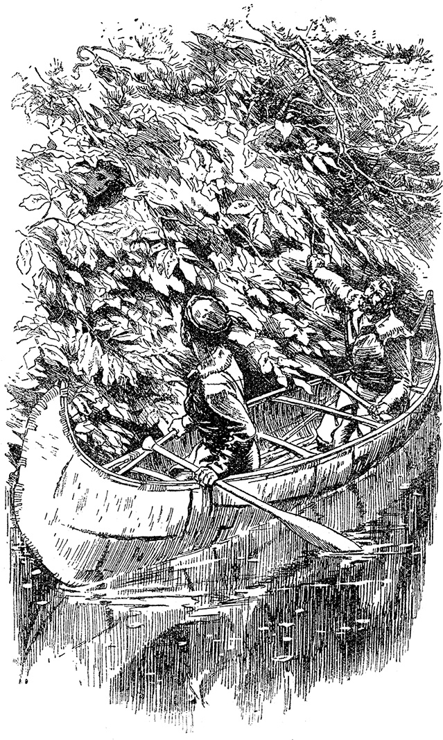 Иллюстрация к книге — Зверобой [i_005.jpg]