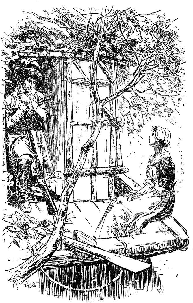 Иллюстрация к книге — Зверобой [i_006.jpg]