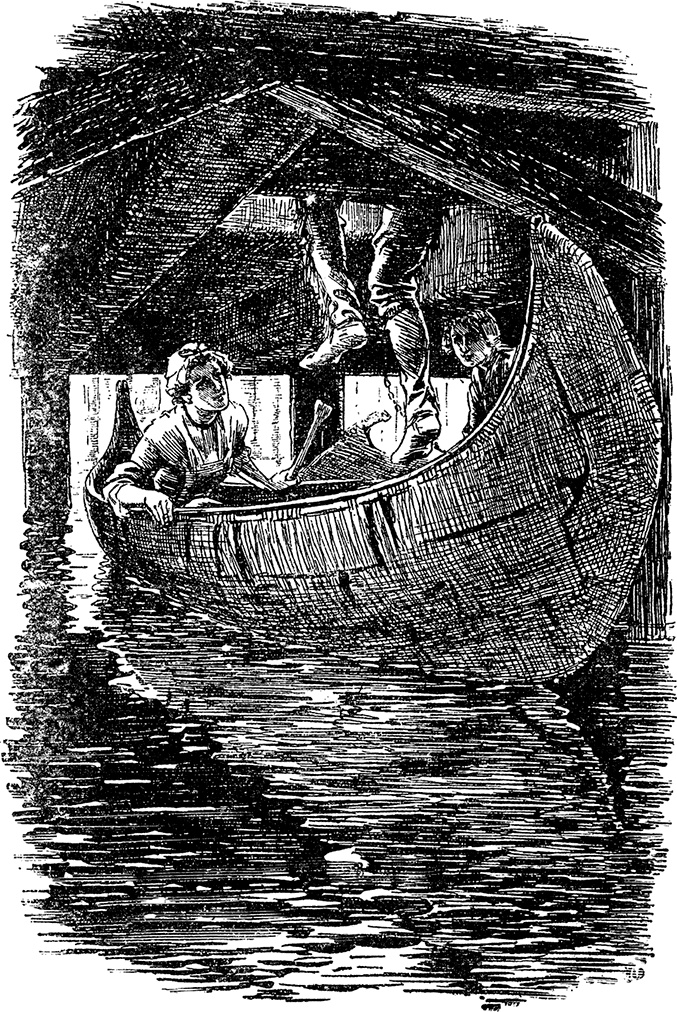 Иллюстрация к книге — Зверобой [i_013.jpg]