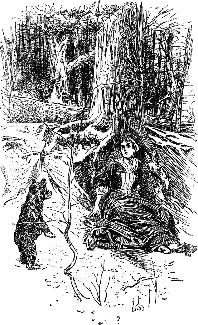 Иллюстрация к книге — Зверобой [i_015.jpg]