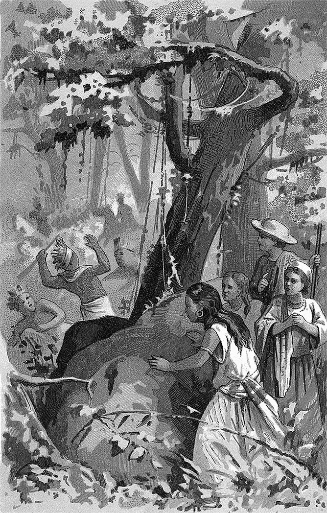 Иллюстрация к книге — Зверобой [i_046.jpg]