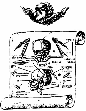 Иллюстрация к книге — Метафизическое кабаре [i_006.jpg]
